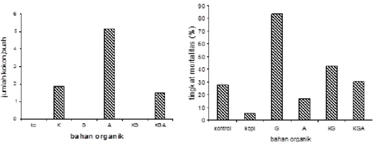 Gambar 6. Rata-rata produksi kokon (A) dan tingkat mortalitas cacing tanah (B) pada berbagai kualitas seresah (K=kopi, G=Gliricidia, A=alpukad).