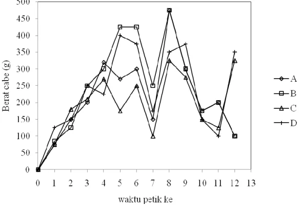 Gambar 4: Grafik berat buah cabe setiap pemanenan (4 hari) 