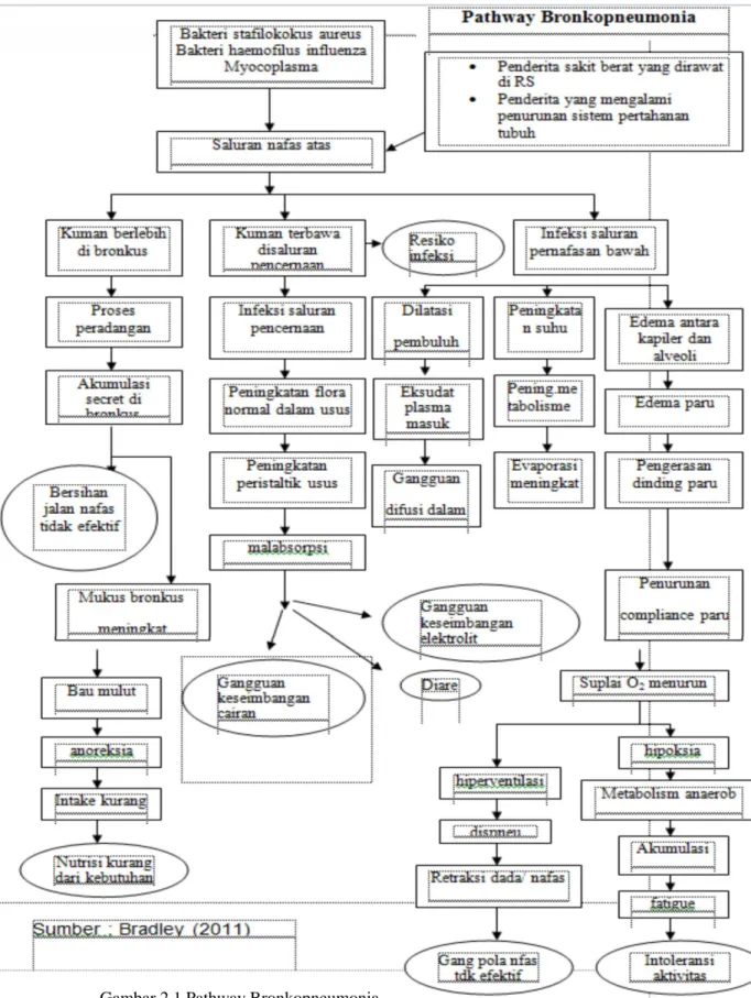 Gambar 2.1 Pathway Bronkopneumonia 