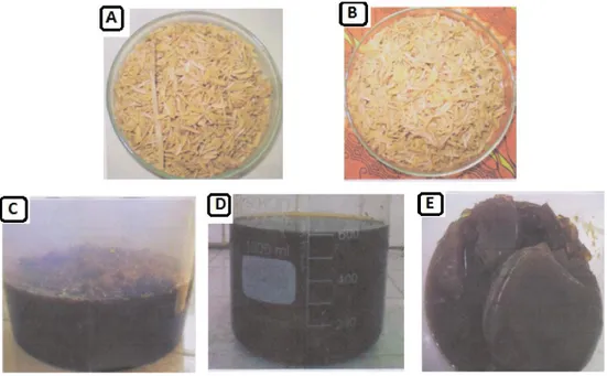 Gambar 1. Rangkaian hasil ekstraksi silika dari sekam padi: (A) sekam awal  (B) sekam yang sudah bersih  (C) ektraksi sekam padi dengan KOH 1,5% 