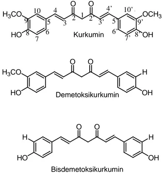 Gambar 3. Struktur kurkuminoid (Jayaprakhasa et al., 2015) 