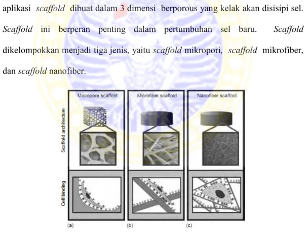 Gambar  2.6.  Jenis-jenis  Scaffold:  (a)  Scaffold  Mikroporous,  (b)  Scaffold    Mikrofiber,  dan  (c)  Scaffold  Nanofiber    (Laurencin  and  Nair,  2008)  