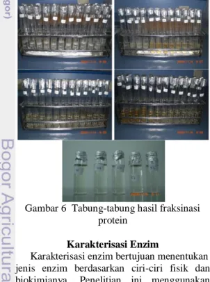 Gambar 6  Tabung-tabung hasil fraksinasi  protein 