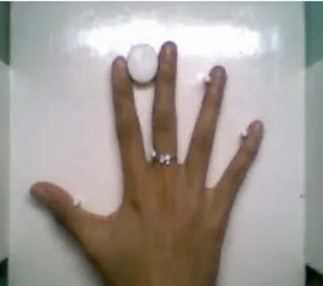 Gambar 1. Citra Tangan 