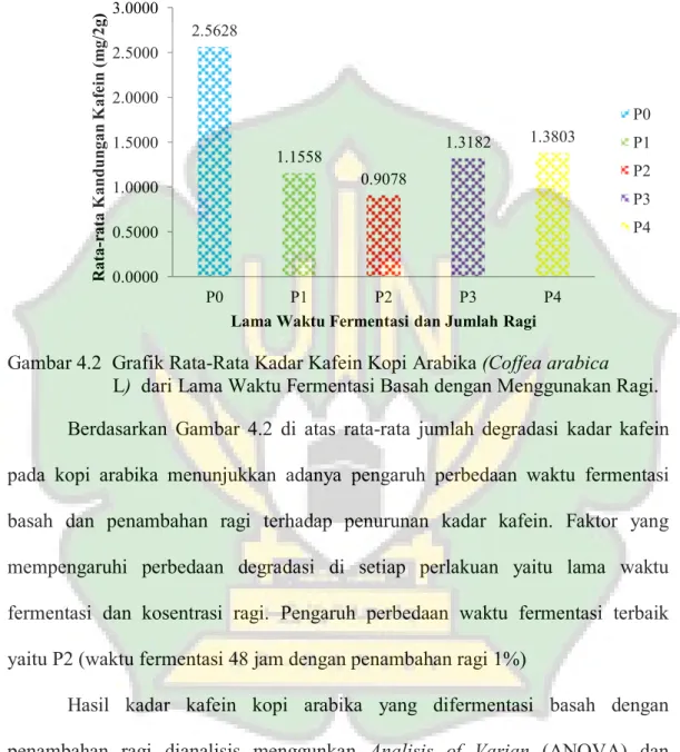 Gambar 4.2  Grafik Rata-Rata Kadar Kafein Kopi Arabika (Coffea arabica            L)  dari Lama Waktu Fermentasi Basah dengan Menggunakan Ragi