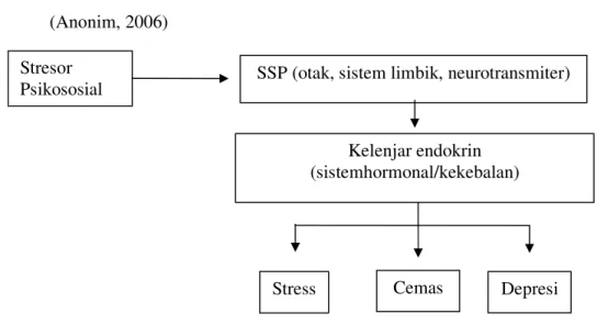 Gambar 1. Mekanisme terjadinya stress dan depresi. (Hawari, 2004).