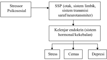 Gambar 2. Mekanisme terjadinya stress, cemas dan depresi (Hawari, 2001) 6 . Hipnotika-sedatifa