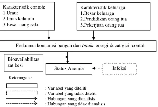 Gambar  1  Bagan  kerangka  pemikiran  hubungan  antara  bioavailabilitas  intake  zat  besi  dengan  status  anemia  remaja  di  Yogyakarta  dan  Padang 