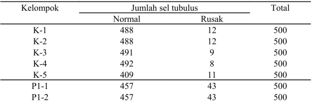 Tabel 1 menunjukkan total jumlah kerusakan sel tubulus tiap 100 sel per lapangan  pandang dalam 5 lapangan pandang pada setiap kelompok.