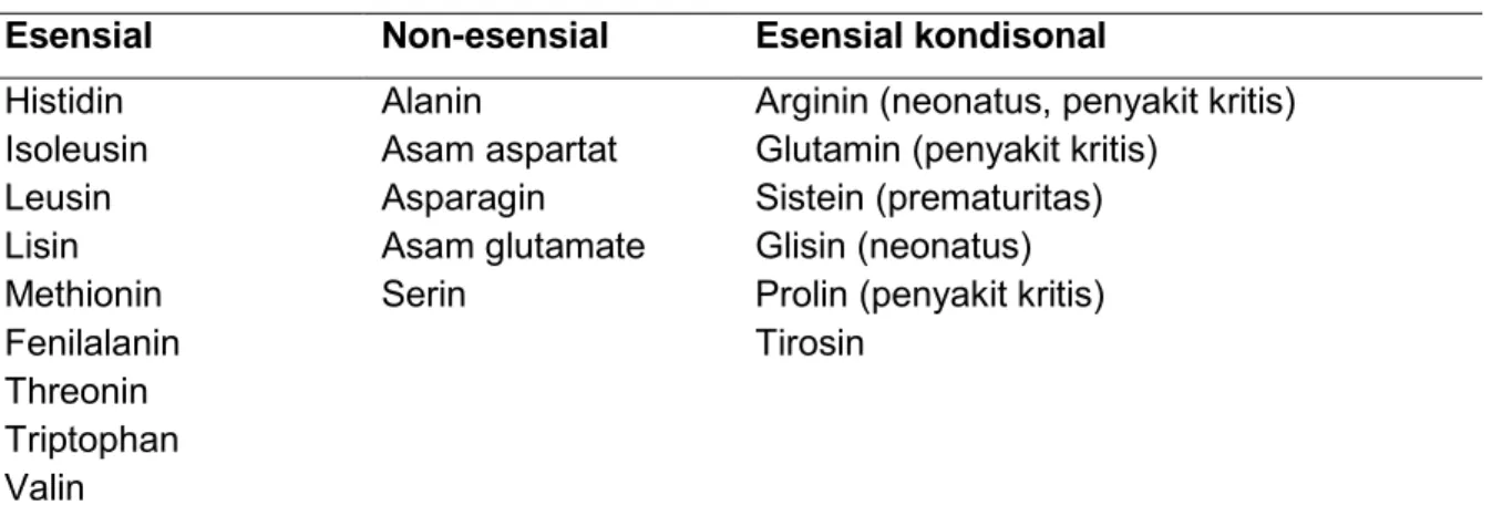 Tabel  2.1. Klasifikasi asam amino Esensial 
