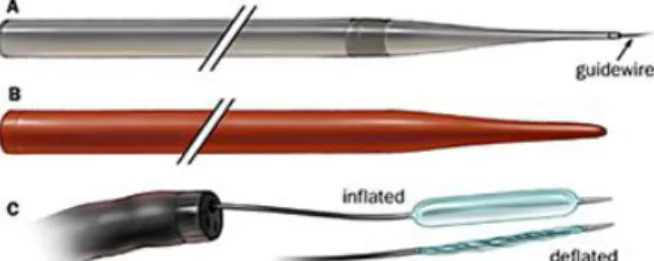 Gambar 2 : Dilator esophagus A. Savary, B. Maloney,   C. Through The Scope (TTS) ballon kateter