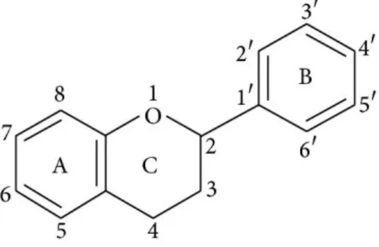 Gambar 1.Struktur dasar flavonoid 10