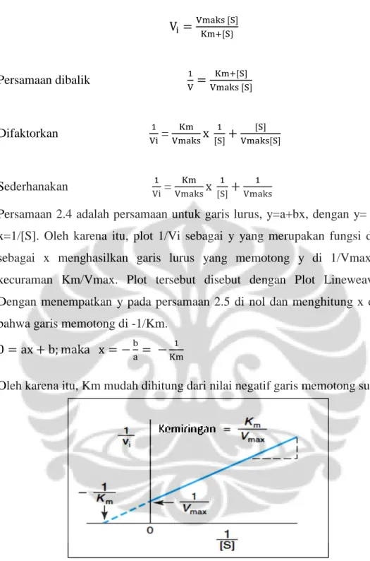 Gambar 2.5.  Plot Lineweaver Burk dari 1/Vi terhadap 1/[S] 