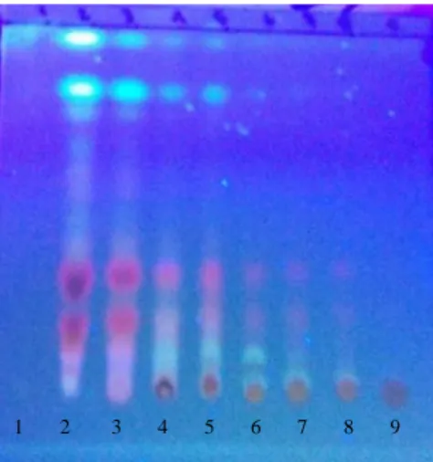 Gambar 3.  Contoh kromatogram hasil KCV fraksi semipolar ekstrak etanol herba meniran  dengan fase gerak n-heksan:etil asetat (9:1), fase diam Silika GF 254,  jarak pengembangan 5 