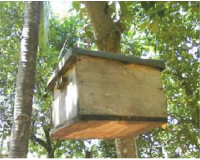 Gambar 1. Kotak/Stup Koloni Lebah 