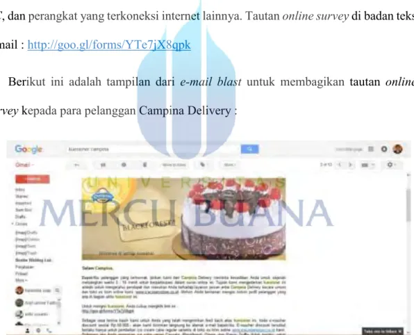 Gambar 4.1 Tampilan format e-mail blast online survey Campina Delivery  Sumber : e-mail pribadi peneliti (2015) 