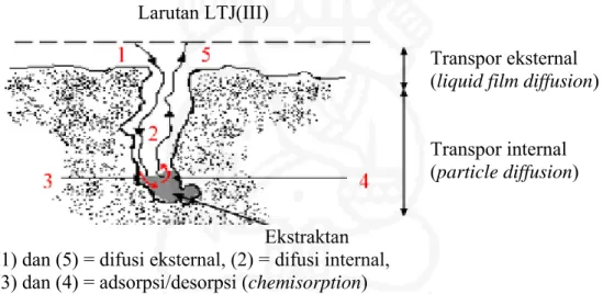 Gambar II.4.  Proses  sorpsi ion-ion logam dalam SIR  (Benamor dkk., 2008) 