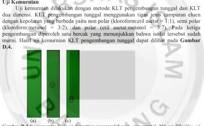 Gambar  D.4  Kromatogram  hasil  uji  kemurnian  penampak  bercak  sinar  tampak  254  nm  FD:silika  gel  GF 254 ,    (a)  FG:  etil  asetat:metanol  (3:7),  (b)  FG:  kloroform:metanol  (3:2),  (c)  FG:  kloroform:etil  asetat  (1:1)