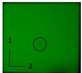 Gambar  D.5  Kromatogram   hasil  uji  kemurnian  penampak  bercak  sinar  tampak  254 nm,  FD:silika gel  GF 254  (1) FG: kloroform:metanol (3:2), (2) FG: kloroform:etil asetat (1:1)