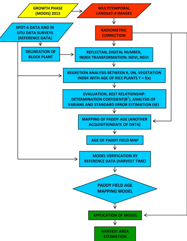 Gambar 2. Diagram alir pelaksanaan penelitian “Pemanfaatan Data Penginderaan Jauh  Resolusi Menengah untuk Pengembangan Model Umur Tanaman Padi dan Penerapannya 