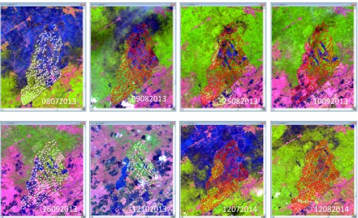 Gambar 3. Training sampel pada setiap umur tanaman pada data Landsat multitemporal 
