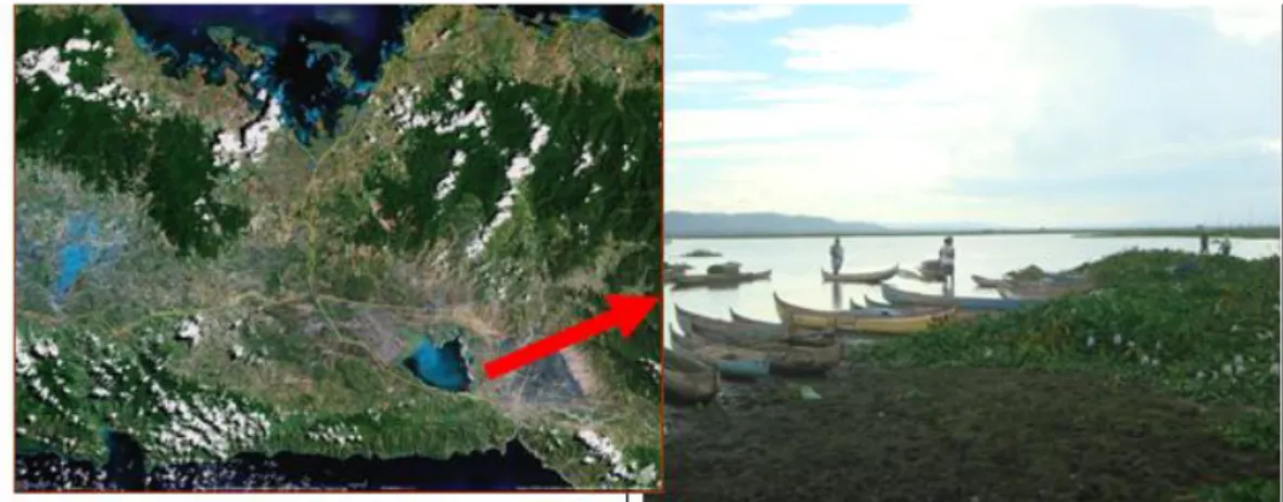 Gambar 1. Citra Landsat  Daerah Danau Limboto Provinsi Gorontalo dan Eceng  Gondoknya 