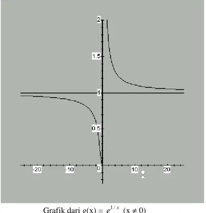 Grafik dari g(x) =  e 1 / x  (x  ≠  0) 