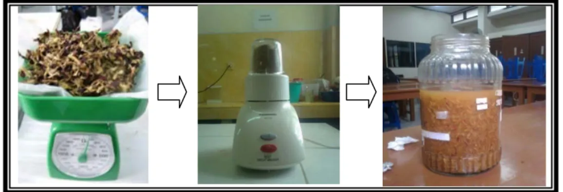 Gambar 8 : simplisia kering ditimbang lalu diblender kemudian dimaserasi 