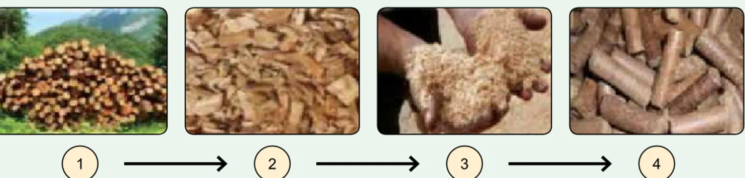 Ilustrasi di bawah ini menunjukkan siklus: Input- Input-Proses-dan Output produksi wood pellet.