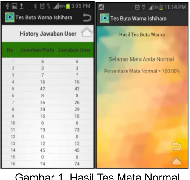 Gambar 1. Hasil Tes Mata Normal 