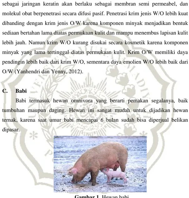 Gambar 1. Hewan babi  