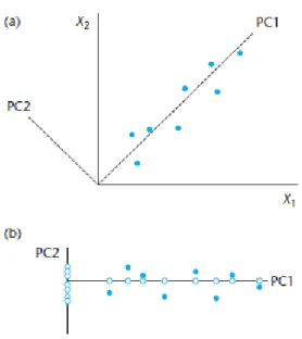 Gambar 4. (a) Diagram yang menggambarkan dua komponen utama, PC1 dan PC2, untuk  dua variabel X 1  dan X 2 