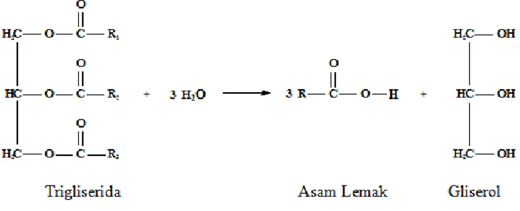 Gambar 1. Reaksi hidrolisis trigliserida (Winarno, 1986). 