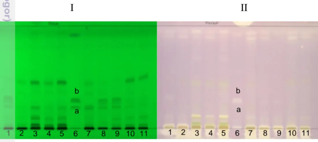 Gambar  14    Antioksidan  meniran  berbagai  jenis  dibandingkan  dengan  petai  cina (I) sebelum derivatisasi (II) setelah derivatisasi, daun (1) Pn9  (2)  Pd1,  (3)  Ll1,  (4)  Ll2,  (5)  Ll3,  (6)  standar  (a)  filantin  (b)  hipofilantin.,  (7)  Pn1,