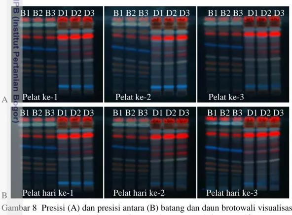 Gambar 8  Presisi (A) dan presisi antara (B) batang dan daun brotowali visualisasi  menggunakan sinar UV 366 nm dengan pereaksi asam sulfat 