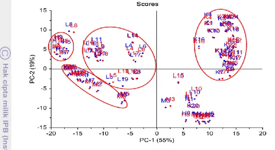 Gambar 1  Score plot hasil PCA sampel temu lawak (L), temu mangga (M), temu  hitam (H), dan kunyit (K) 