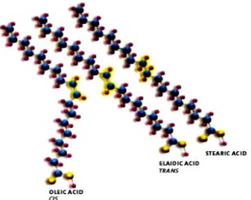 Gambar 1.  Struktur  Kimia  dari  Cis-Asam Lemak Tak  Jenuh (Asam Oleat), Trans-Asam Lemak Tak  Jenuh (Asam Elaidat) Dibandingkan dengan  Asam Lemak Jenuh (Asam Stearat) [9] 