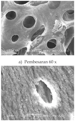 Gambar 4a menunjukkan porous interkoneksi  cancelleus  bovine  bone  setelah  dikalsinasi  pada  temperatur  900  o C  selama  2  jam  tanpa  pelapis  PVA