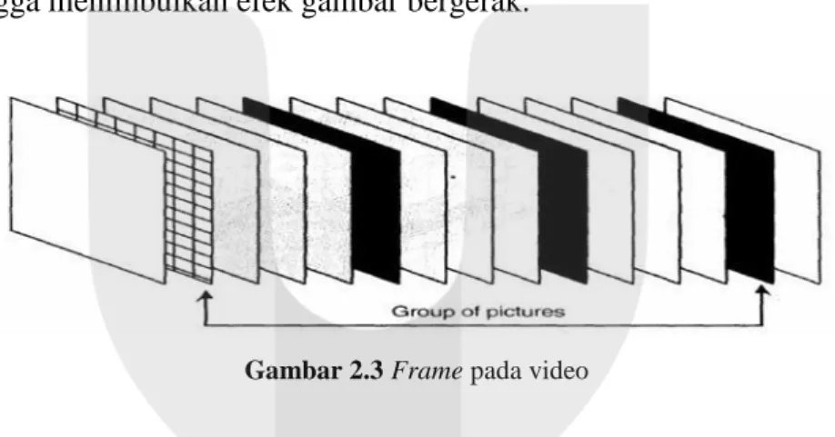 Gambar 2.3 Frame pada video 