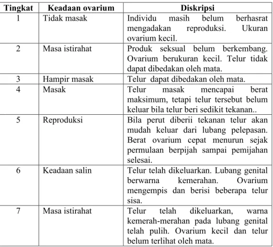 Tabel  1.  Tingkat  Kematangan  Gonad  (TKG)  menurut  Moch.  Ikhsan  Effendie 