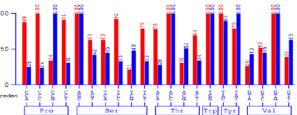Gambar  3.  Perbandingan  kisaran  persentase  kandungan  nukleotida  GC.  (A)  Kisaran  persentase  kandungan  nukleotida  GC  pada  wild  type  PT2  dengan  kandungan  GC  rata-rata  52,56%;  (B)  Kisaran  persentase  kandungan  nukleotida  GC  pada  PT2