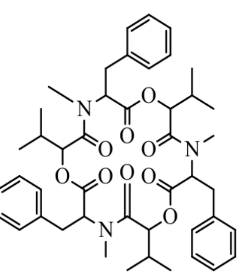 Gambar 2. Struktur beauvericin 