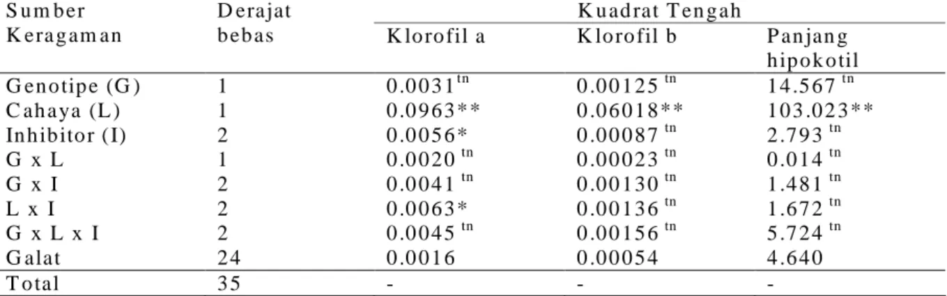 Tabel 2.  Pengaruh perlakuan cahaya terhadap klorofil a, klorofil b dan panjang hipokotil   Table  2