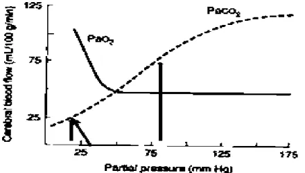 Gambar  2.  Hubungan  antara  PaO2  dan  PCO2  Dengan  CBF  (Cerebral  Blood  Flow),  peningkatan PaCO2 meningkatkan CBF secara linear, dikutip dari jones et  al, 1983 