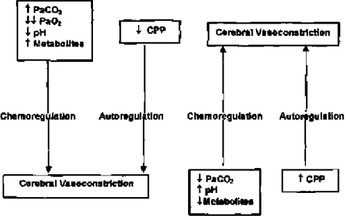Gambar 4. CBE(Cerebral Blood Edema) dan mekanisme control ( dikutip dari KW  Linday dan Ian Bones,dalam Neurology dan Neurosurgery ilustrated 