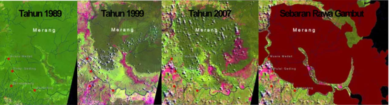 Gambar 1: Perubahan kawasan hutan (forest land use change) dari tahun 1989, 1999 dan 2007 di sebagian wilayah  Hutan Produksi Merang Kepayang   