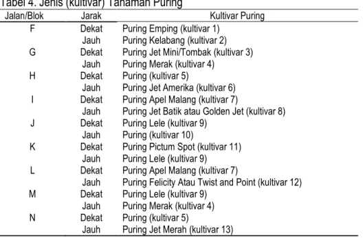 Tabel 4. Jenis (kultivar) Tanaman Puring 