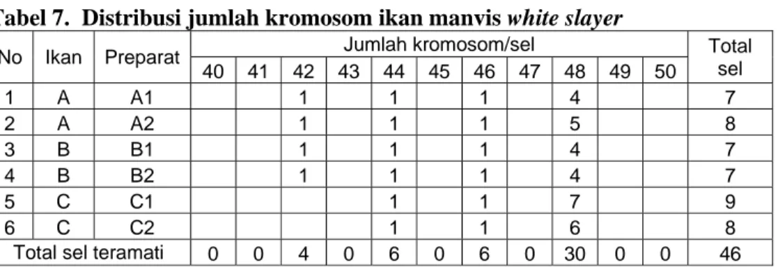 Tabel 7.  Distribusi jumlah kromosom ikan manvis white slayer 