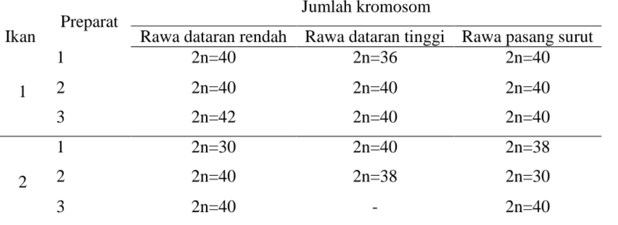 Tabel 1. Jumlah kromosom ikan gabus 