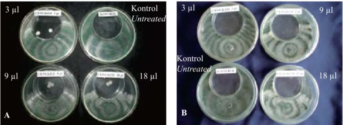 Tabel 1.   Luas miselium cendawan Gliocladium sp. setelah mendapat perlakuan minyak  ceng- ceng-keh dalam cawan petri (Mycelial width of Gliocladium sp